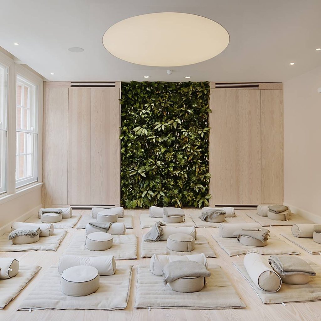 Myo - 123 Victoria Street | Wellbeing
