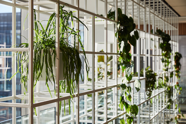 Biophilic design at Myo Liverpool Street to maximise natural light.