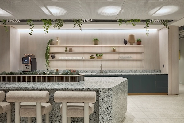 Greenery dotted around the shared kitchen space at Myo St Paul's.